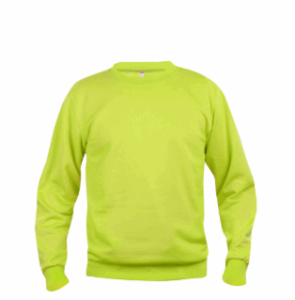 Captura de pantalla 2026-01-15 160319